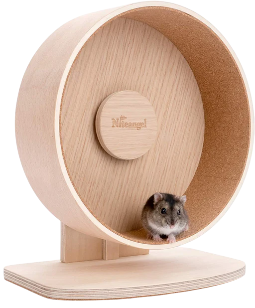 Hamster habitat